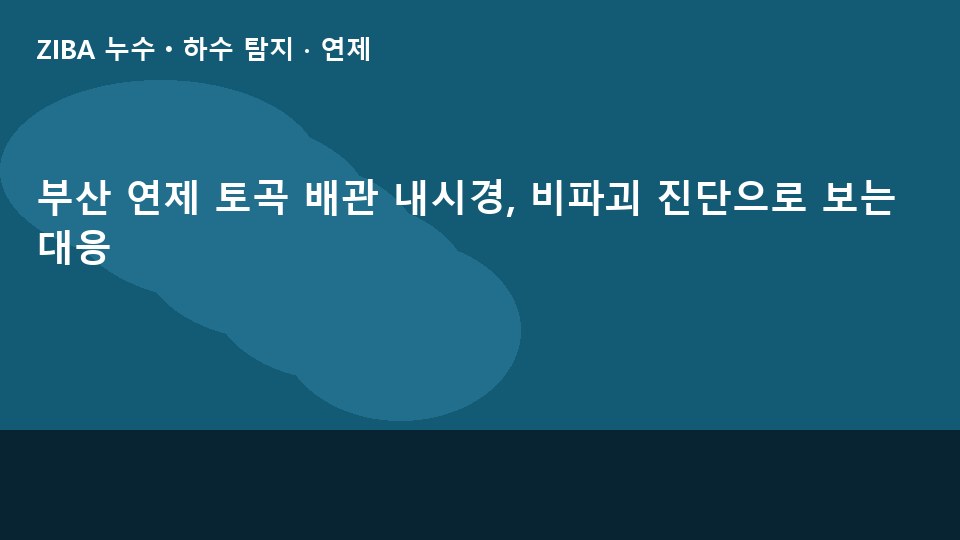 부산 연제 토곡 배관 내시경, 비파괴 진단으로 보는 대응